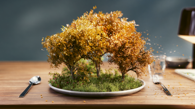 Food Forest - Ketelbroek